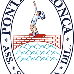 Logo PONTE RONCA