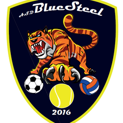 Logo BLUE STEEL