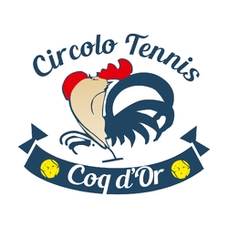 Logo COQ D'OR SPORT