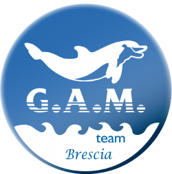 Logo G.A.M. TEAM S.R.L. Società Sportiva Dilettantistica
