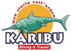 Logo KARIBU SERVICE ASD