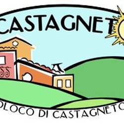 Logo PRO LOCO CASTAGNETO PO APS
