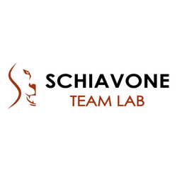 Logo SCHIAVONE TEAM LAB