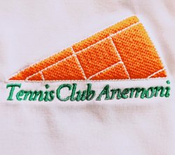 Logo TENNIS CLUB ANEMONI A.S.D.R.